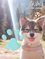 LINEA PARA PERRITOS GUAU