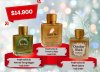 Ofertas de Invierno Femeninos
